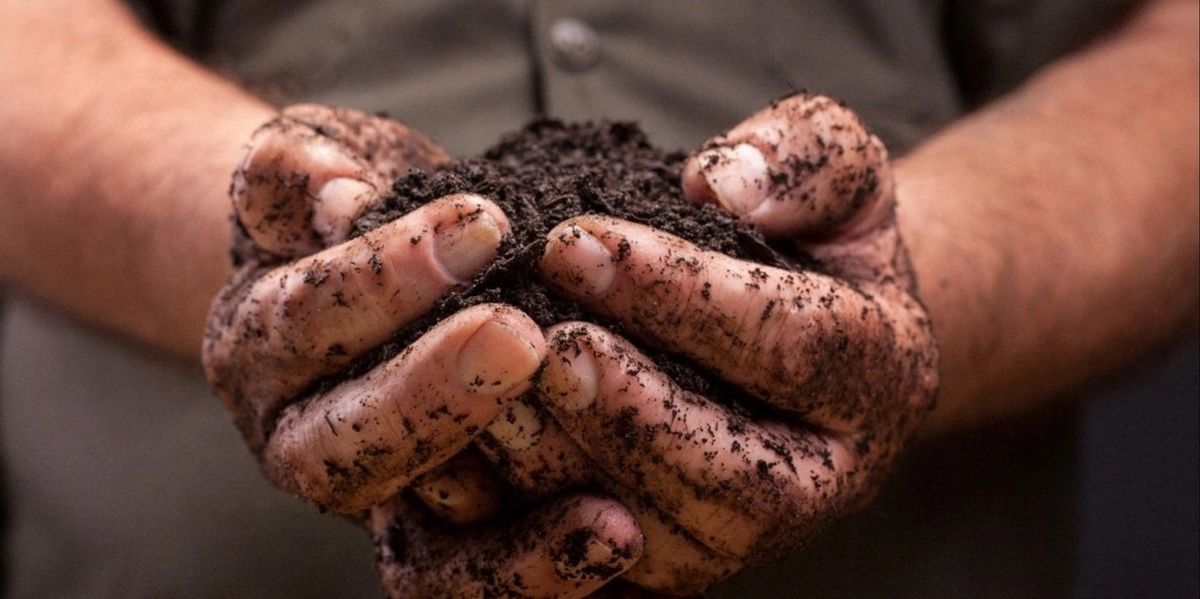 Low Waste Sustainable Living, Boosting your Compost with Microbes