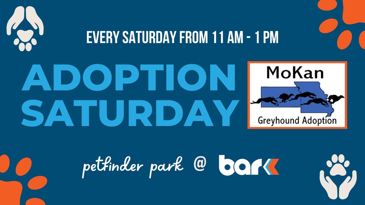 Adoption Saturday with MoKan Greyhound