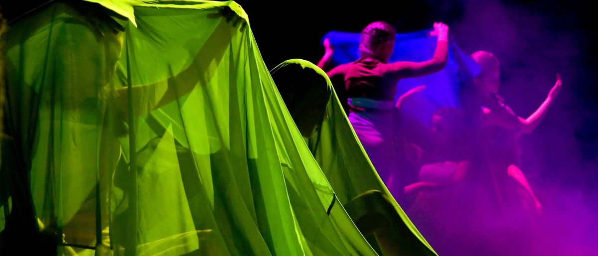 Bill T. Jones\/Arnie Zane Dance Company - Amherst