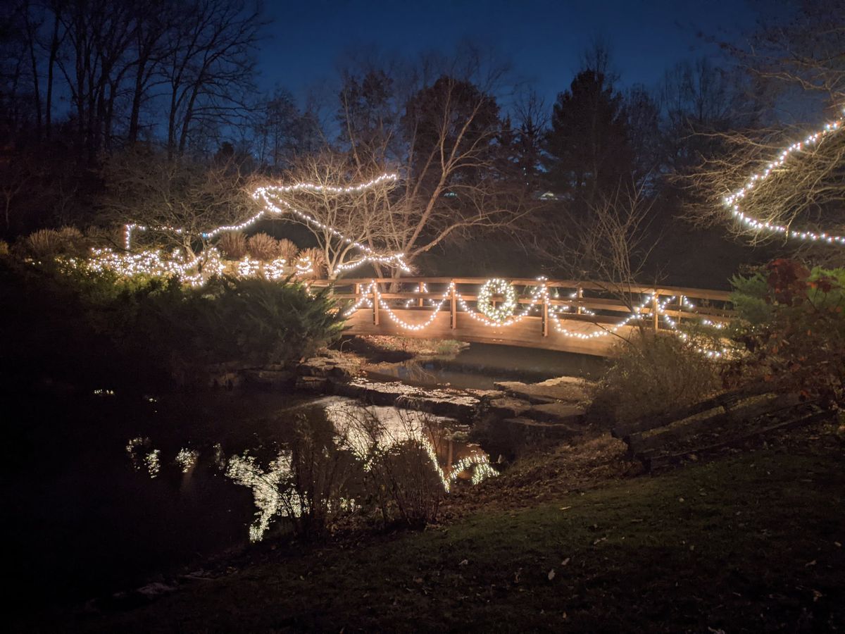 Winter Lighting at Twin Oaks Park