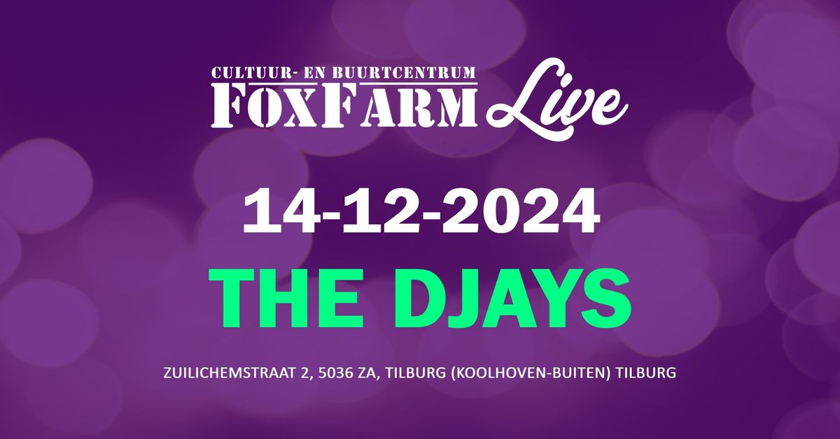 Zaterdag 14 december - The Djays (concert)