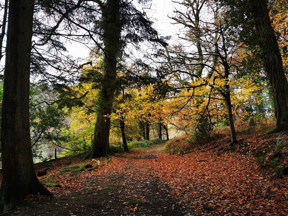 Arlington Court Autumn Circular Walk