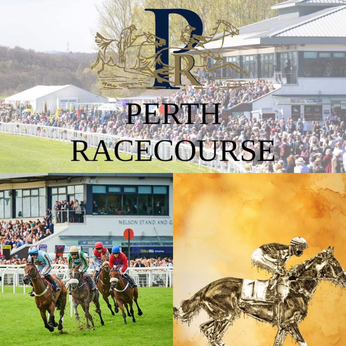NEW \ud83c\udf1f 25th Anniversary of the Perth Gold Cup