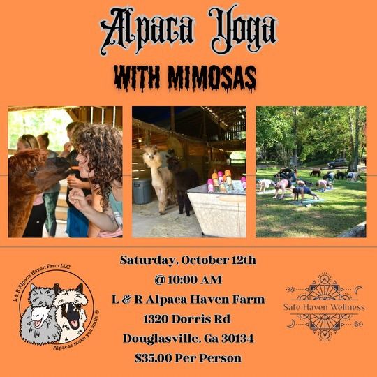 Alpaca Yoga with Mimosas with Audrey