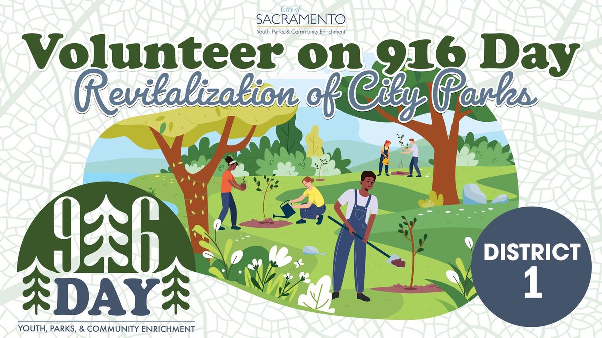 916 Day - District 1 | Volunteer in Your Neighborhood!