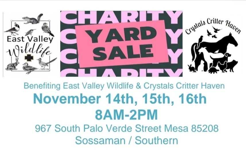 Annual Charity Yard Sale and Raffle