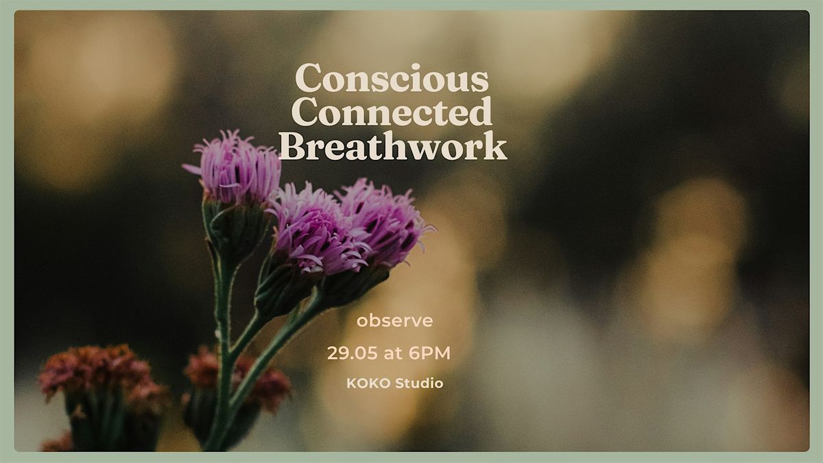 conscious connected breathwork - observe