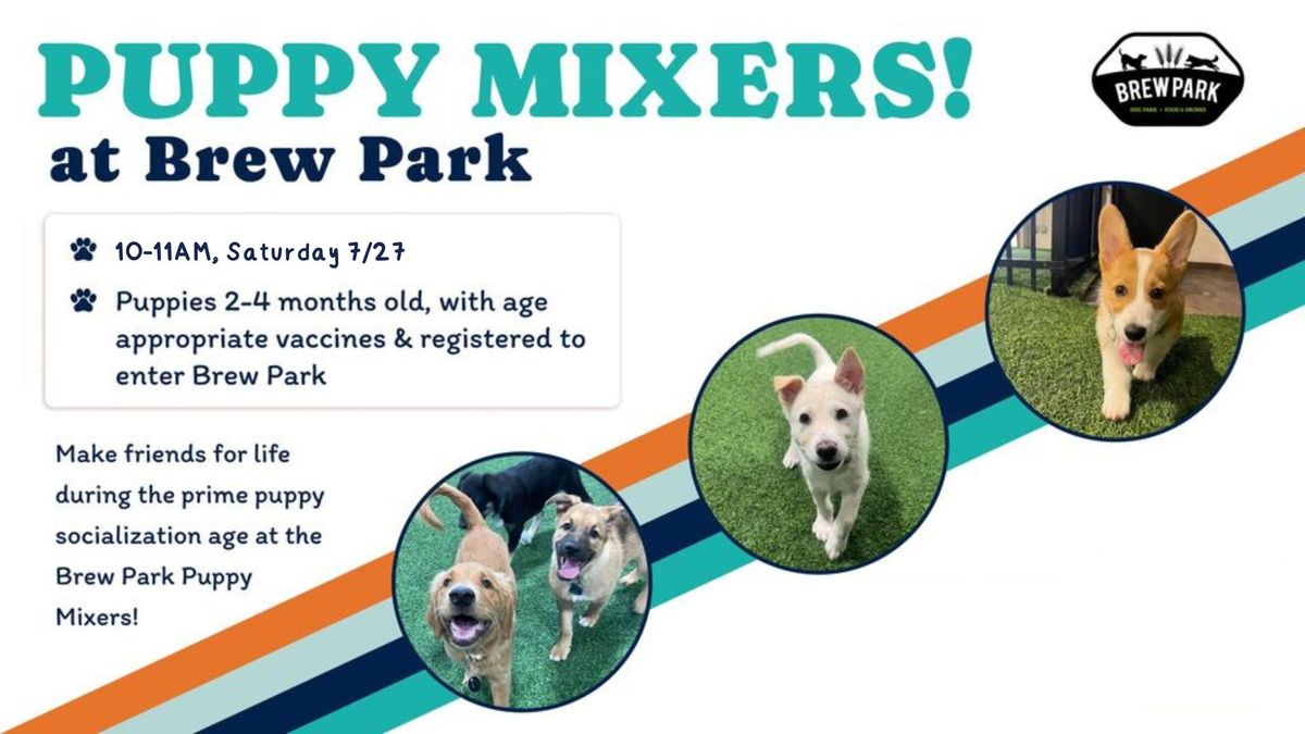 Puppy Mixers at Brew Park
