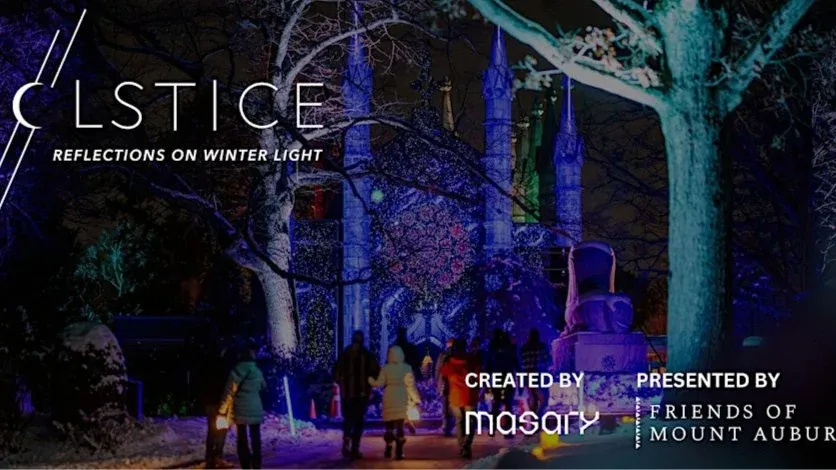 SOLSTICE 2025: Reflections on Winter Light at Mount Auburn