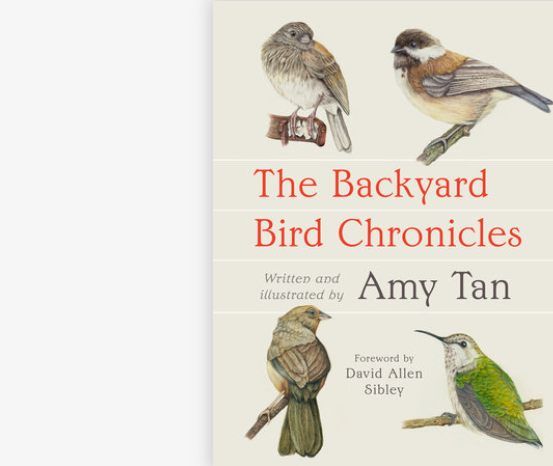 Birdy Book Club: The Backyard Bird Chronicles