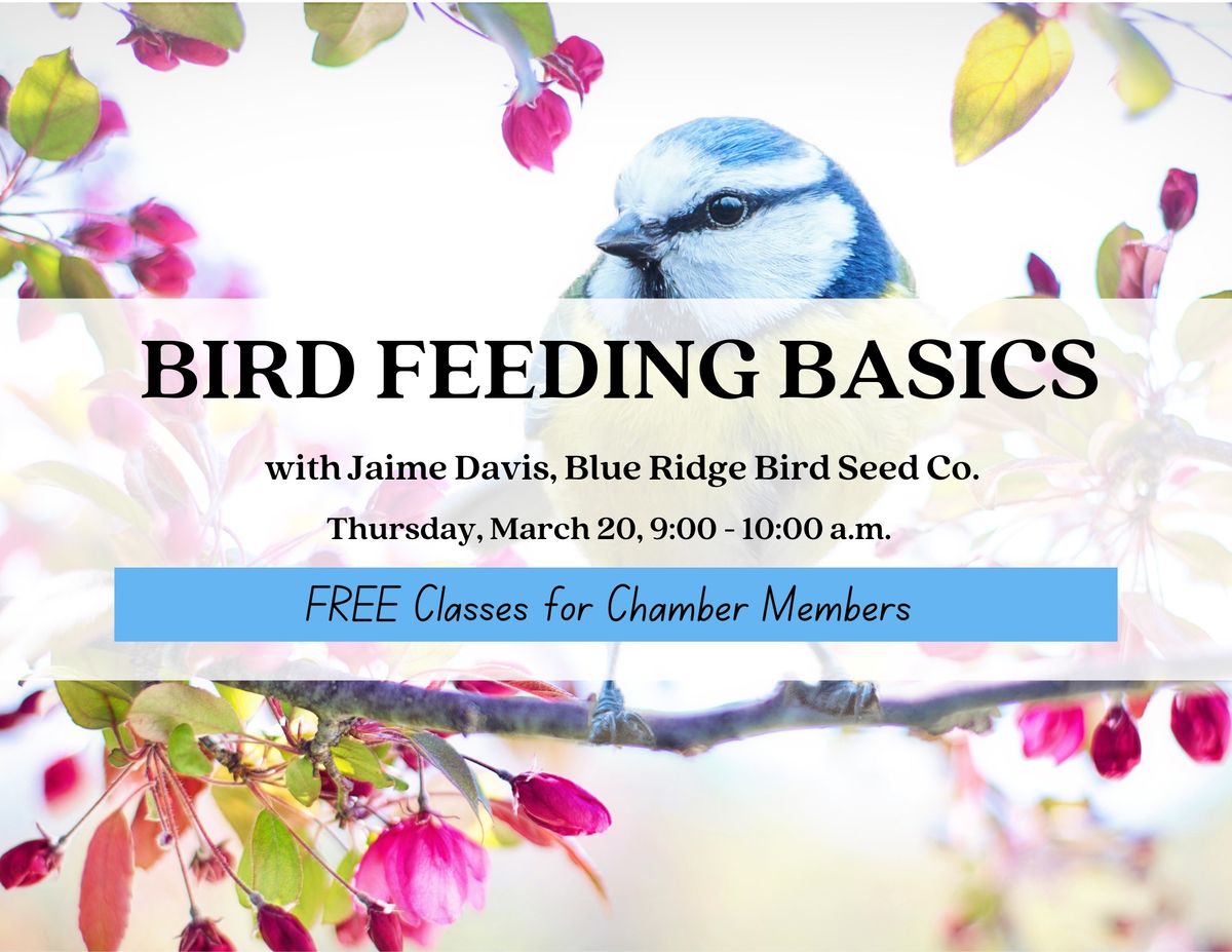 FREE Classes for Chamber Members - Bird Feeding Basics