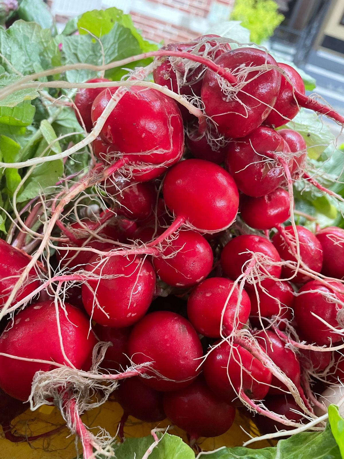 Winter Farmers Market