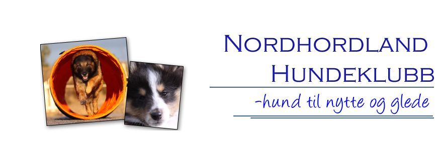 Nordhordland HK's november hoppstevne!