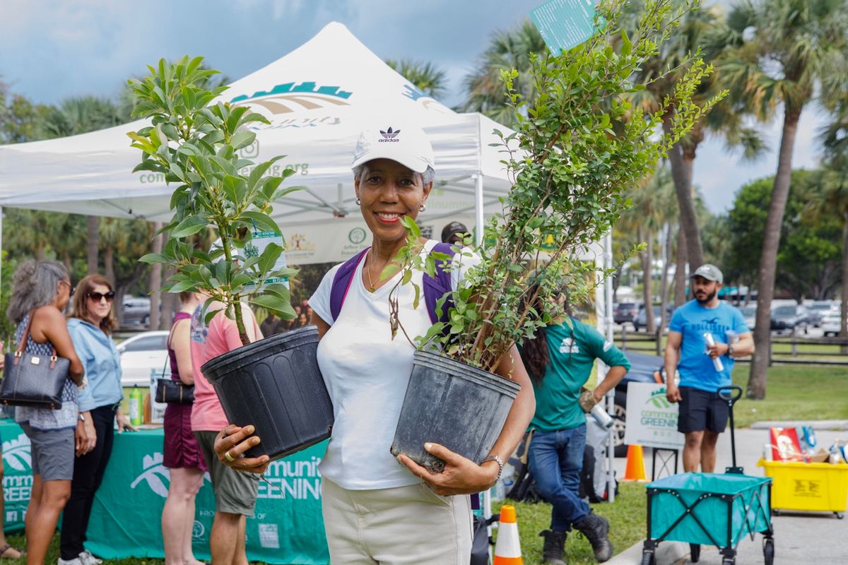 Delray Beach Tree Giveaway