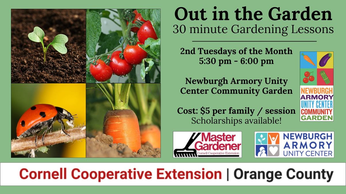 Out in the Garden: 30 Minute Gardening Lessons @ Newburgh Armory Unity Center Community Garden