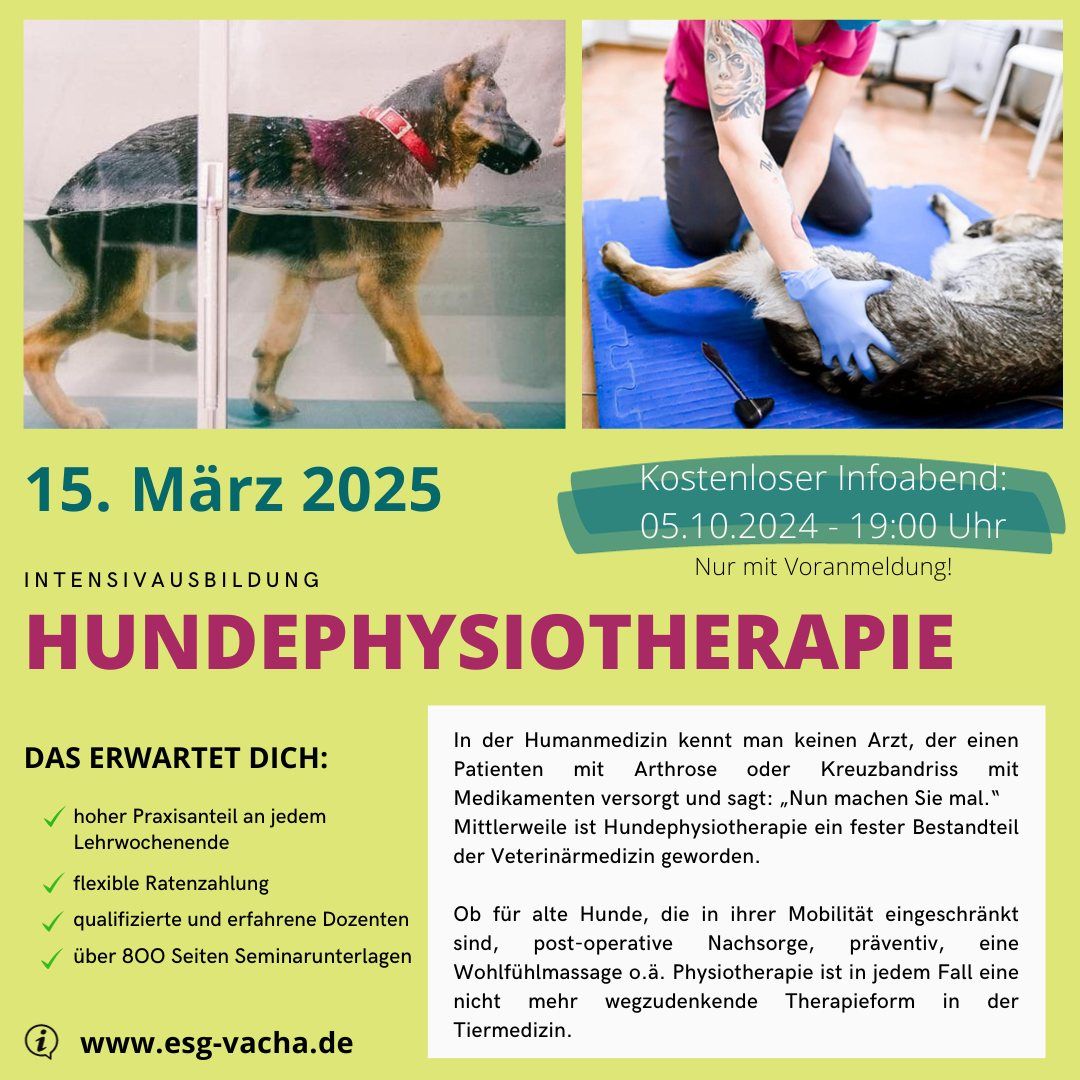 Hundephysiotherapie Fachausbildung mit hohem Praxisanteil