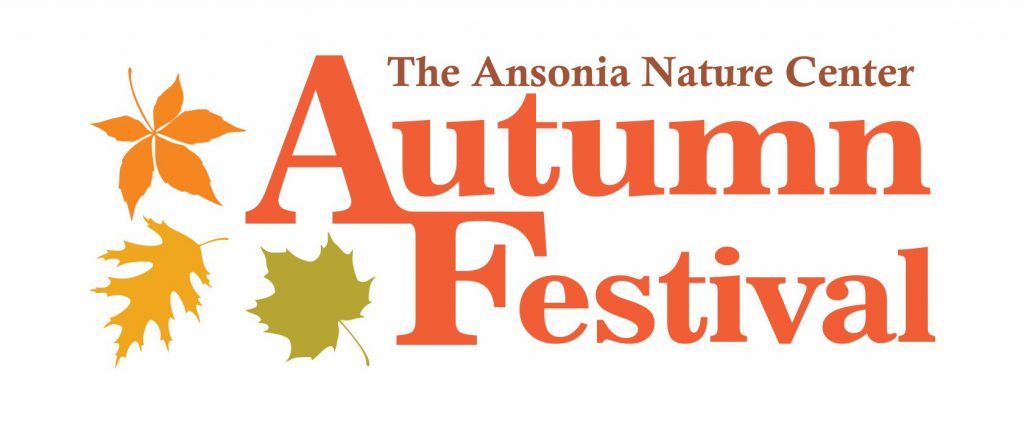 Autumn Fest