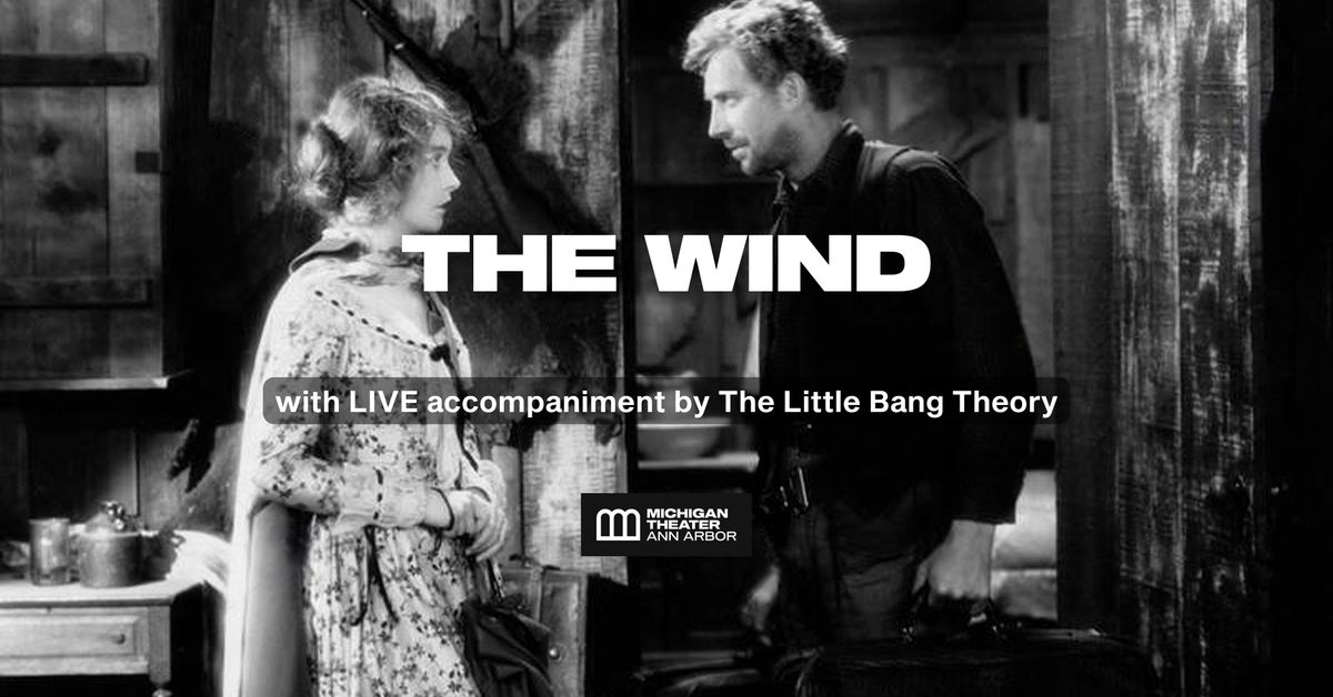 The Wind Screening