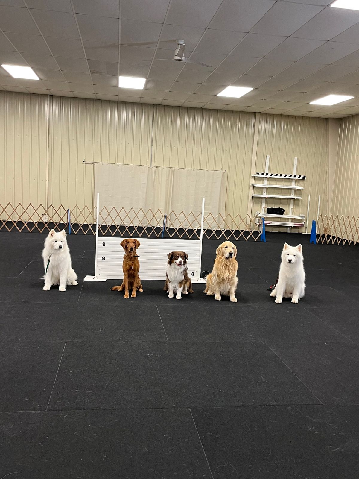 UKC Obedience and Rally Trial