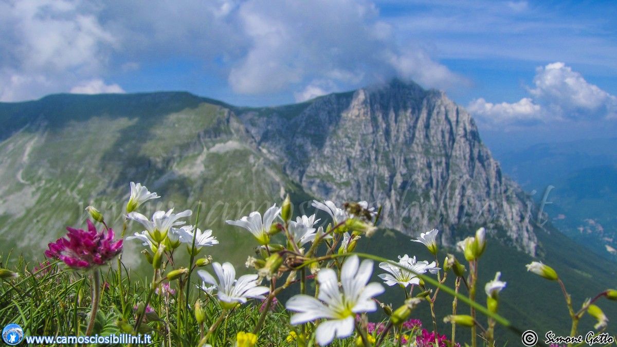 DA CONFERMARE - 24-25 Aprile 2025 nei Sibillini "Tutte le Meraviglie del Bove"