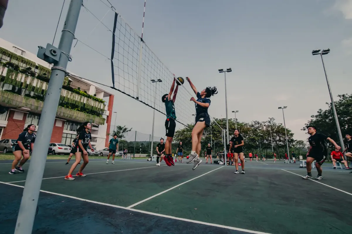 South Carolina Gamecocks at South Florida Bulls Womens Volleyball