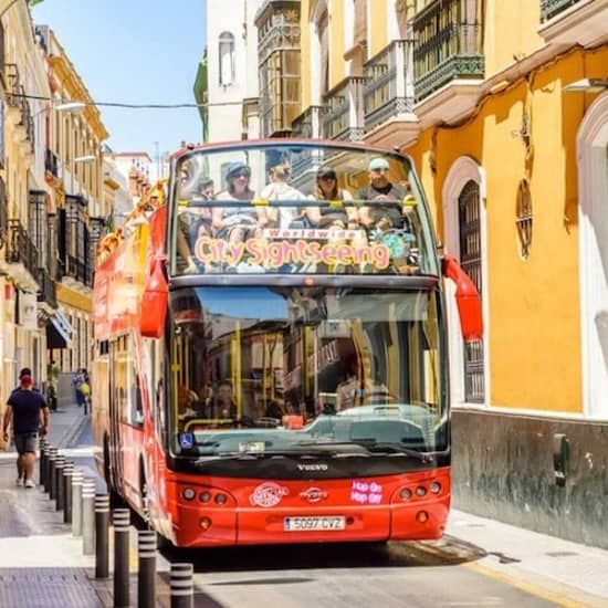 Sevilla: CitySightseeing Autob\u00fas Hop-on Hop-off, Museo del Flamenco + Alquiler de Bicicletas