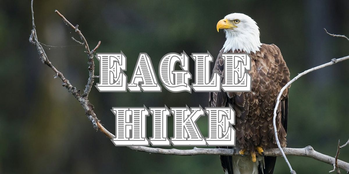 Eagle Hike