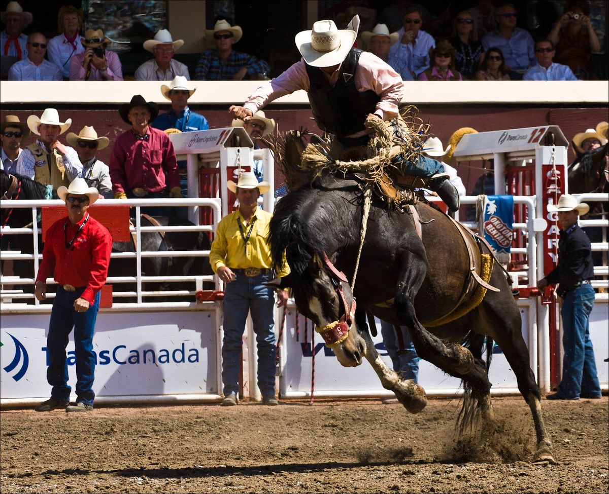 Calgary Stampede Rodeo
