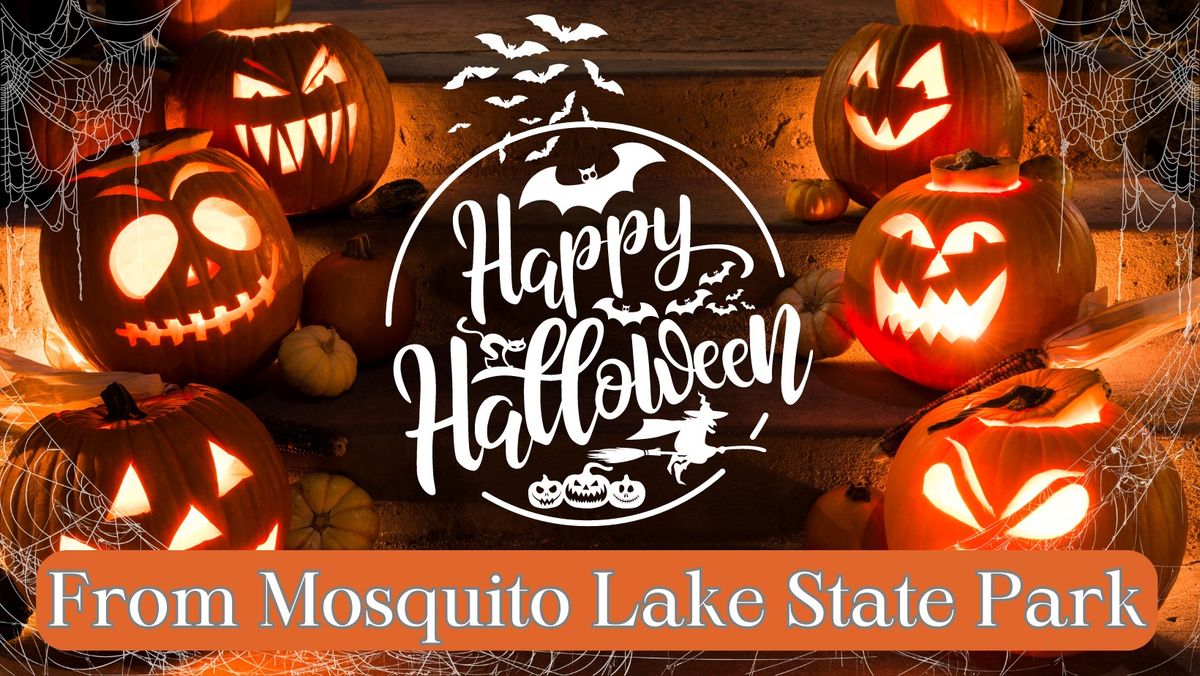 Mosquito Lake Pumpkin Decorating Contest