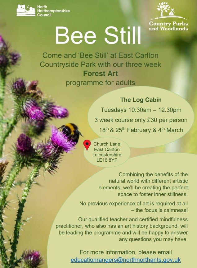 Bee Still - Forest Art for adults