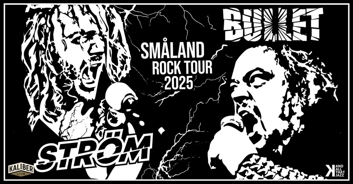 Bullet & Str\u00f6m - Sm\u00e5land Rock Tour | Katalin Uppsala