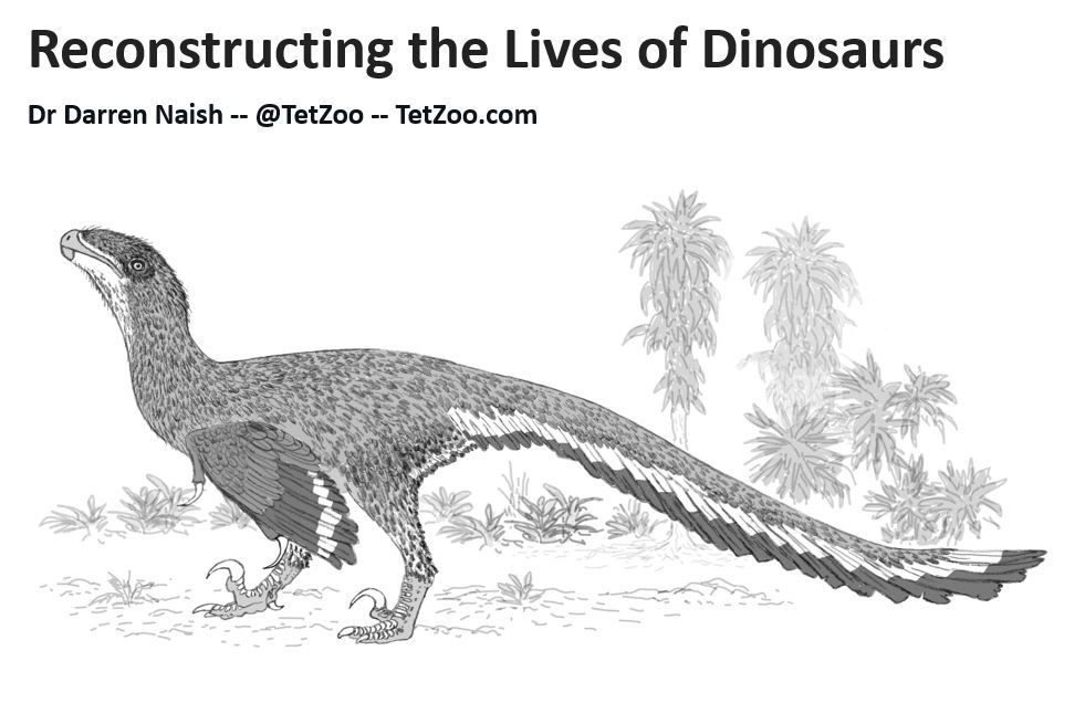 Reconstructing the lives of Dinosaurs - an evening talk with Darren Naish