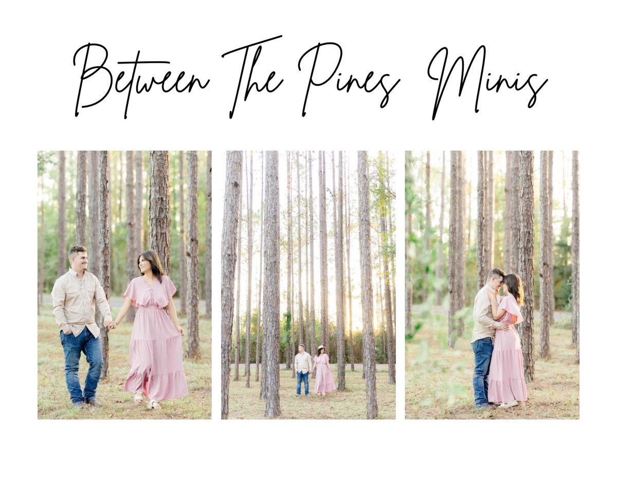 Between the Pines Minis