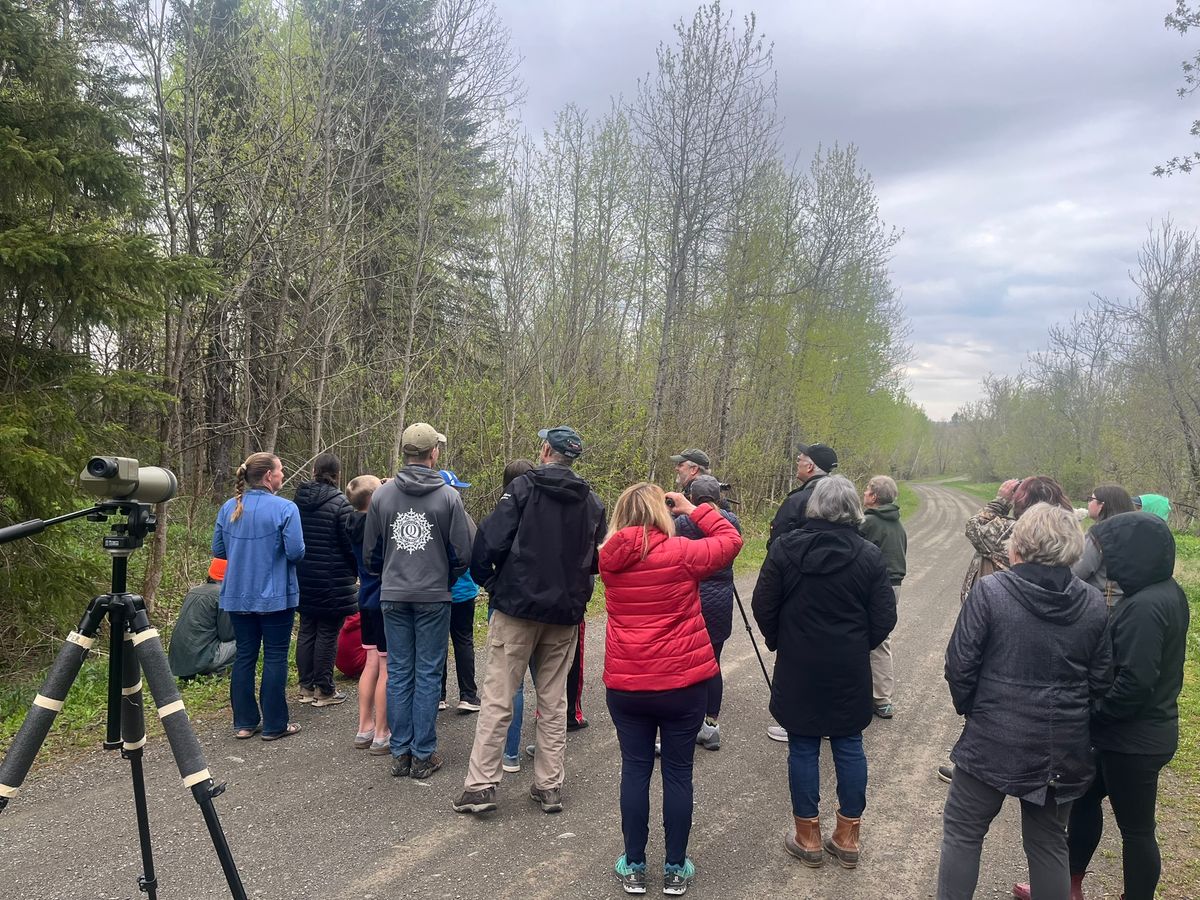 May is Healthy You Caribou- Bird Watching Outing - Caribou Utilities District Wastewater Treatment