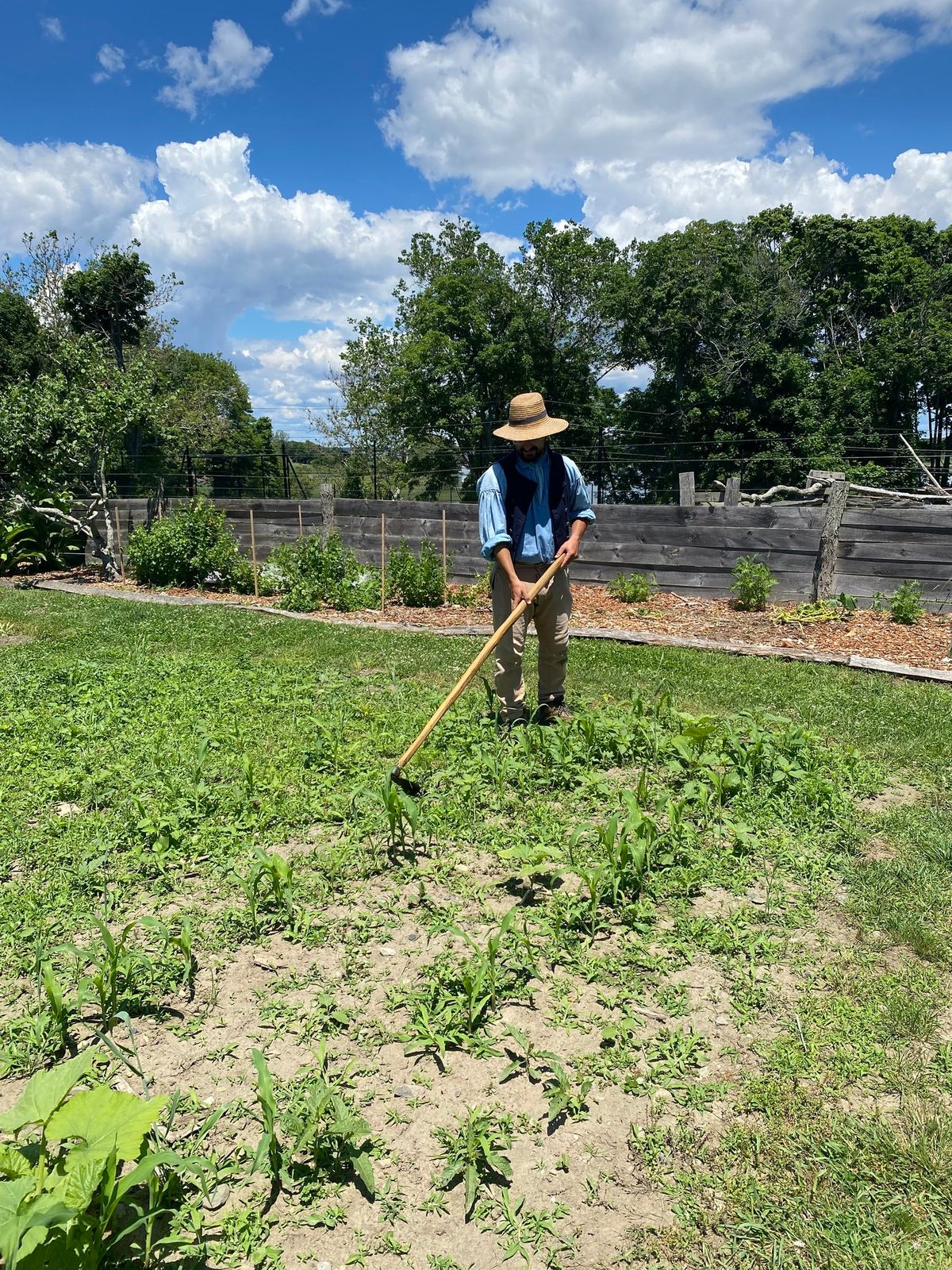 Garden Volunteer Hours at Coggeshall Farm Museum