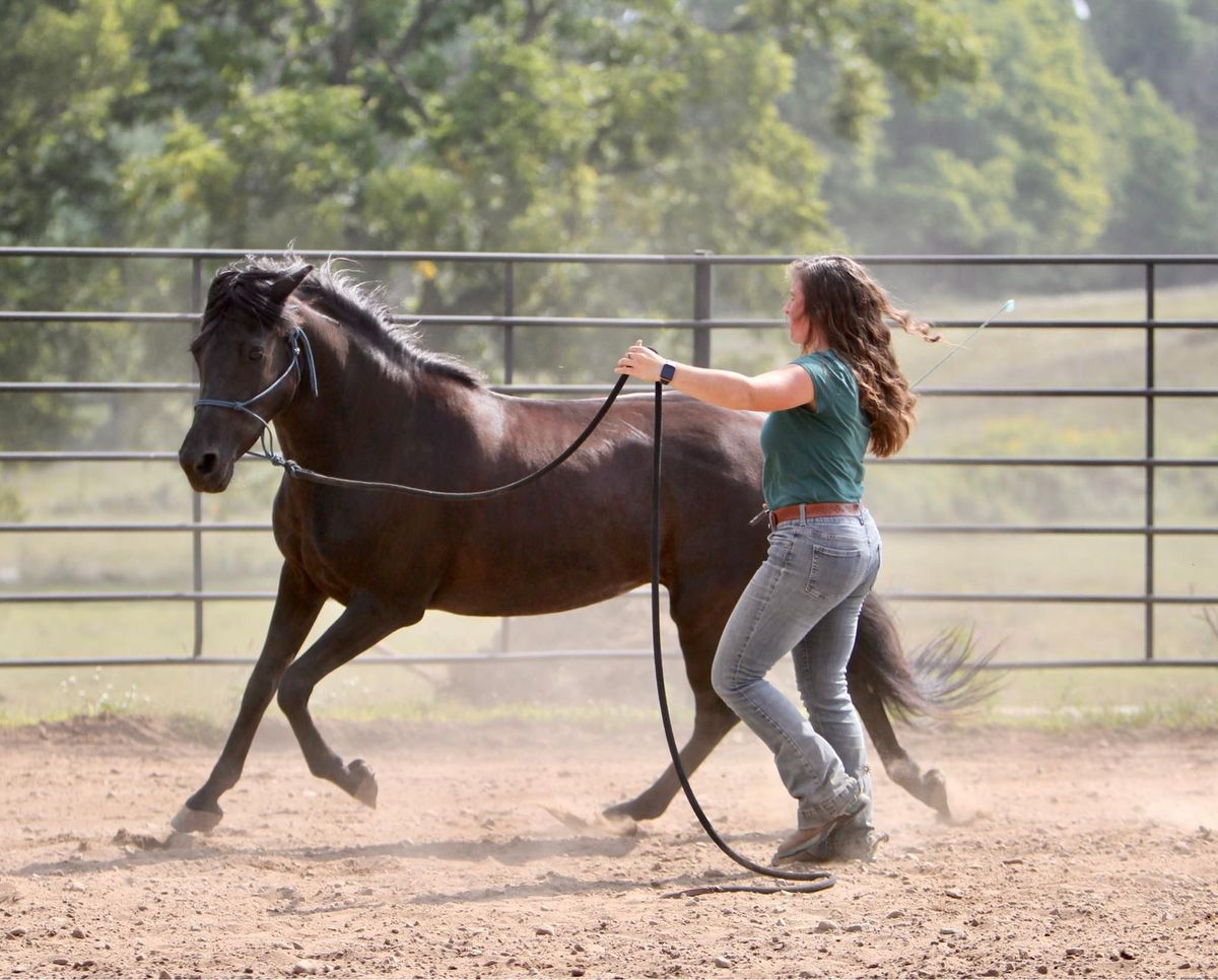 Groundwork & Riding Clinic