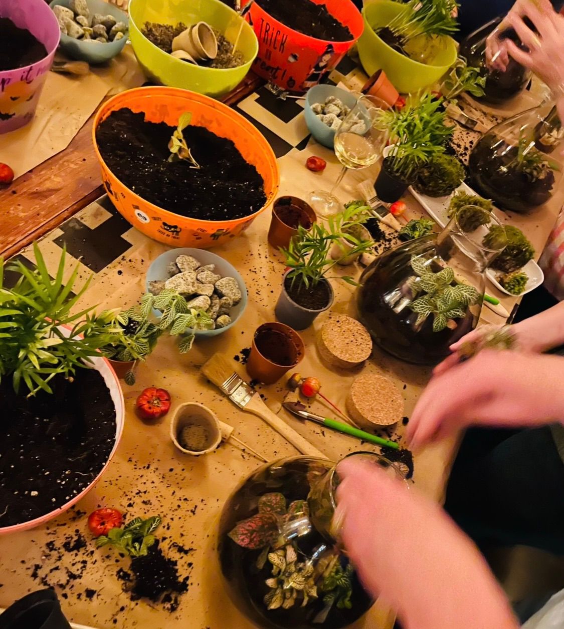 Conical Terrarium Workshop