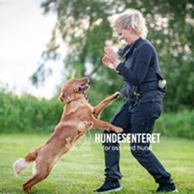 Hundesenteret