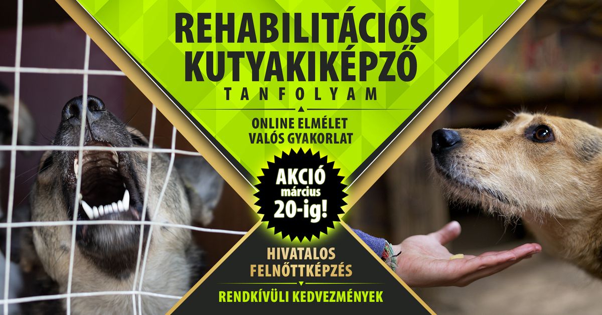 REHABILIT\u00c1CI\u00d3S KUTYAKIK\u00c9PZ\u0150 TANFOLYAM - Hivatalos feln\u0151ttk\u00e9pz\u00e9s!