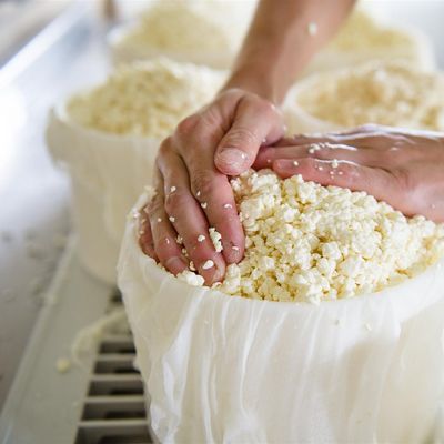 Valley Milkhouse Creamery