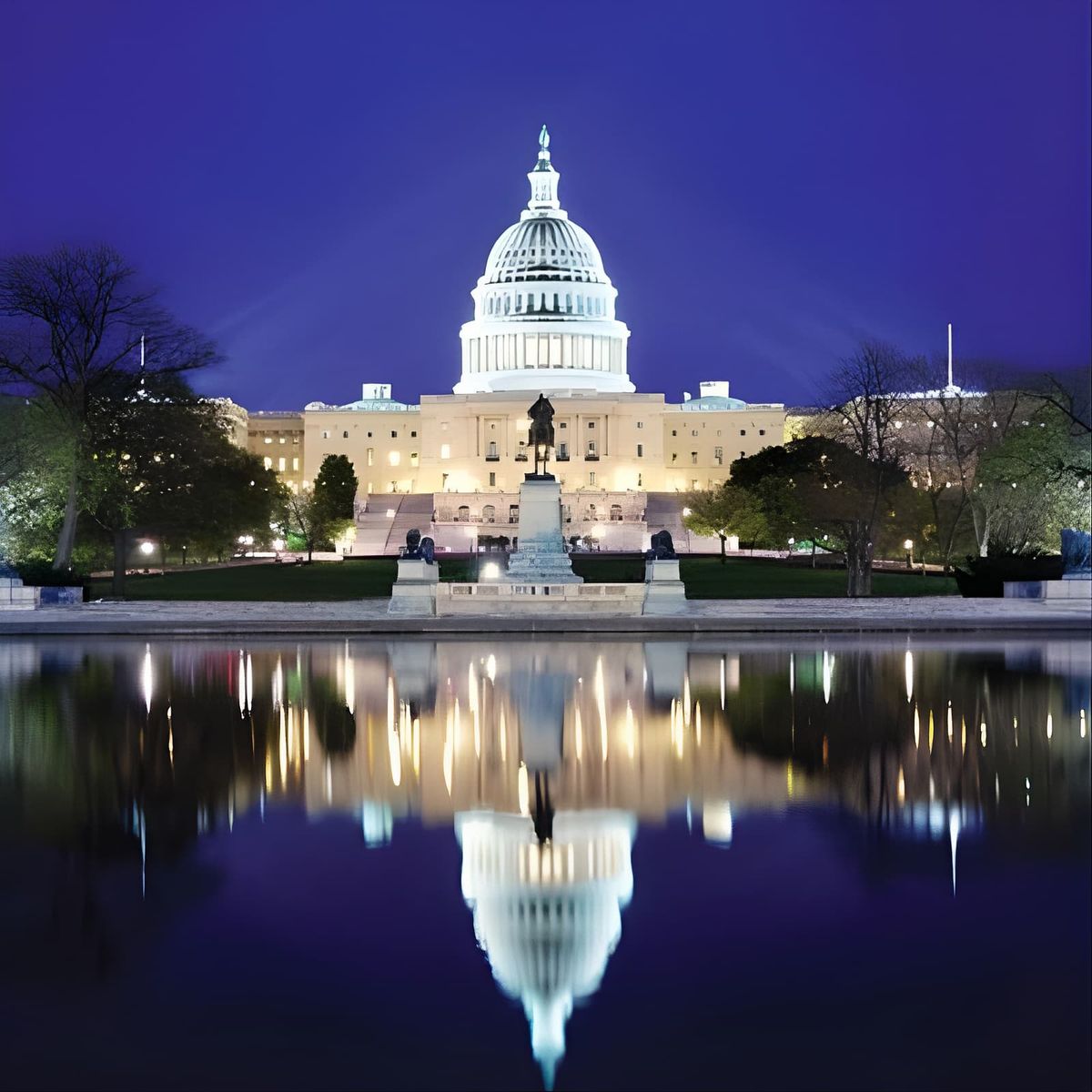 Night Tour with Optional Air & Space or Washington Monument Entry