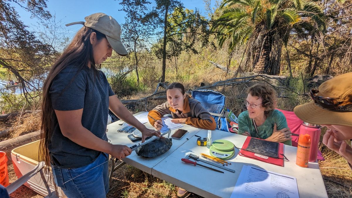 Turtle Processing and Data Collection