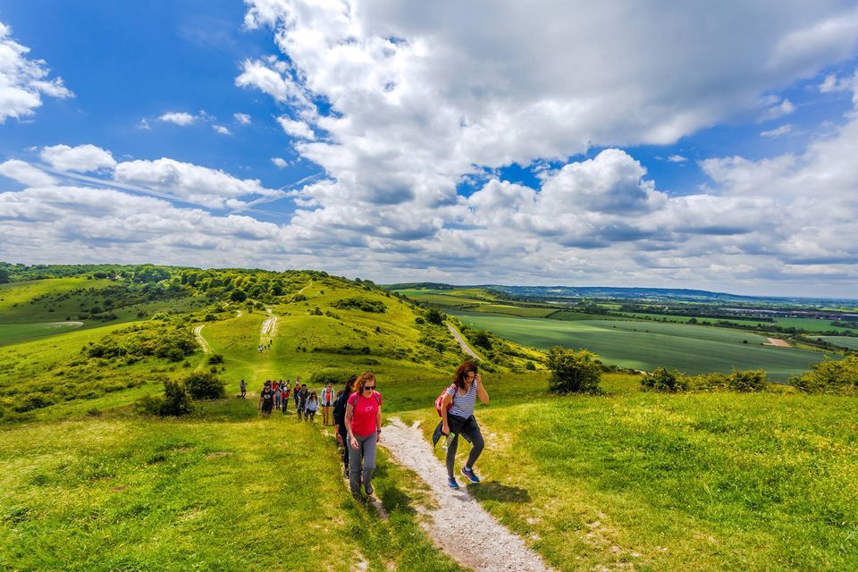 HIKE BEGINNERS 15km Ivinghoe Beacon and the Forests of the Chiltern