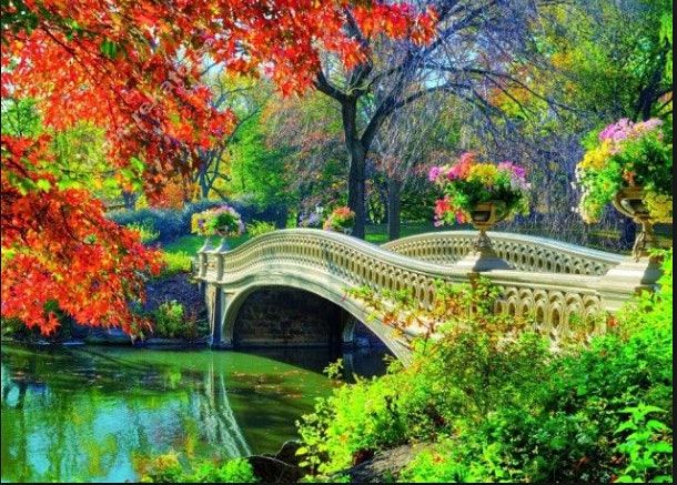 Paint'n Picnic in Central Park Sunday Aft. October 3