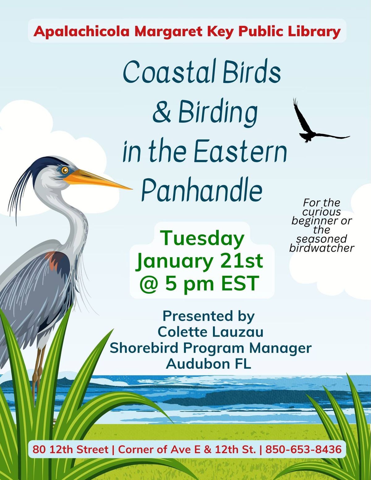 Coastal Birds and Birding in the Eastern Panhandle