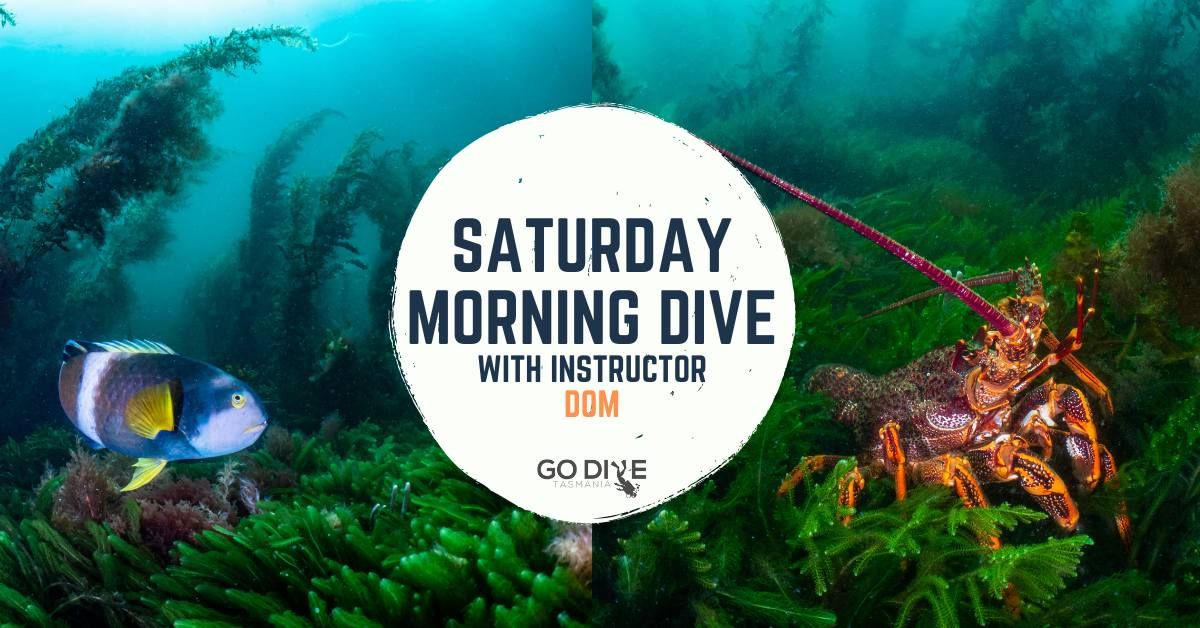 Tinderbox Shore Dive - With Instructor Dom