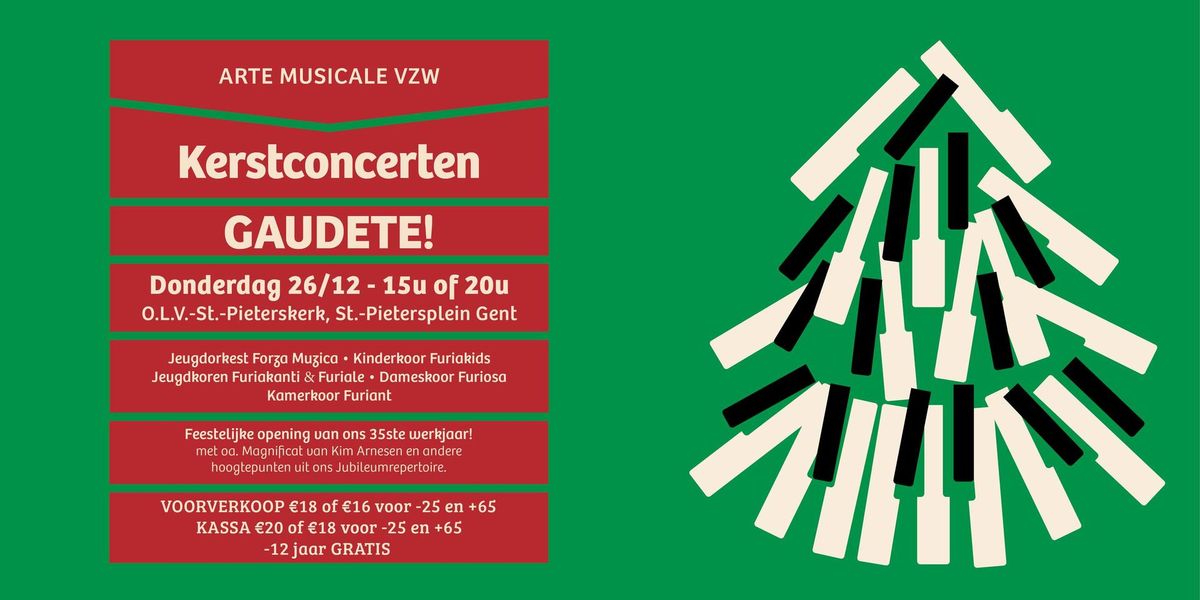 Kerstconcerten Arte Musicale