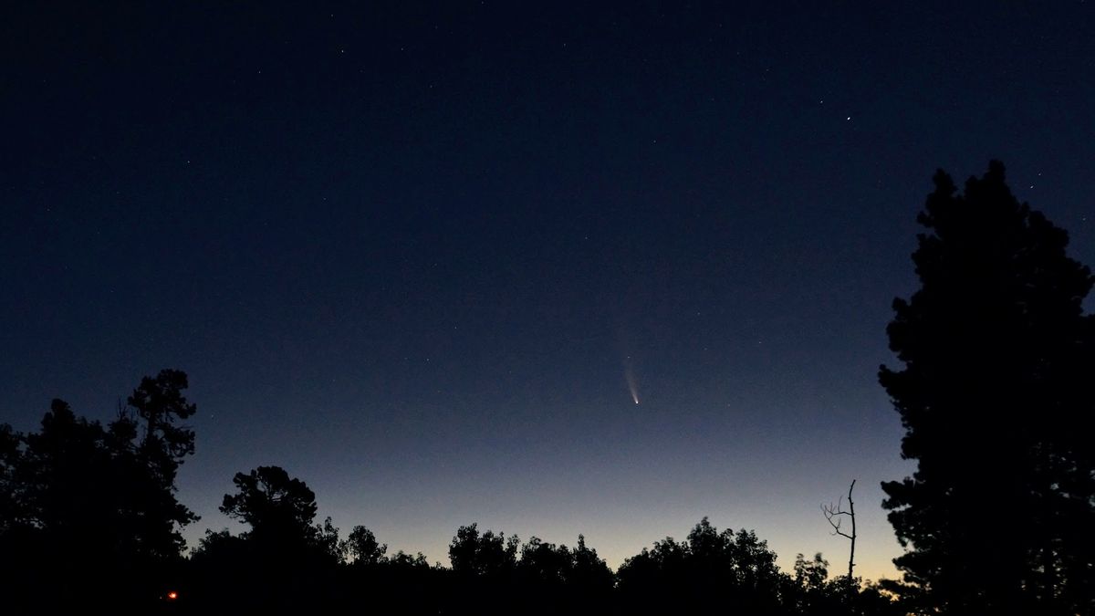 Geminids Meteor Shower Star Party