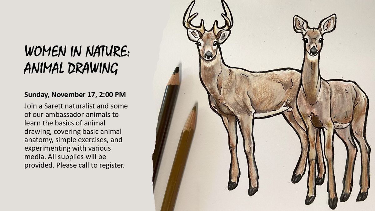 Women In Nature: Animal Drawing