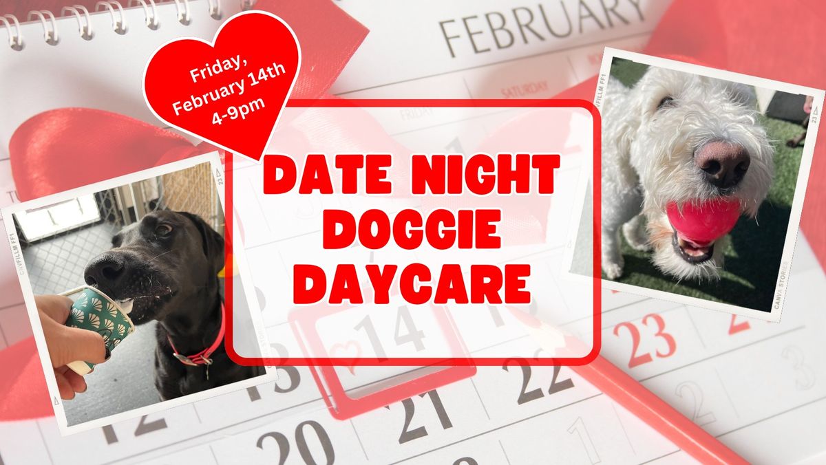 Date Night Doggie Daycare